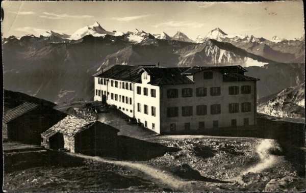 Gemmipass Vorderseite