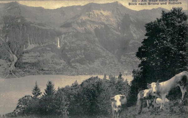 Am Weg nach Axalp Vorderseite