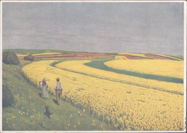 Blühende Rapsfelder, Hans von Volkmann Vorderseite