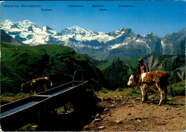 Suldtal bei Aeschi, Latrejefeld Vorderseite
