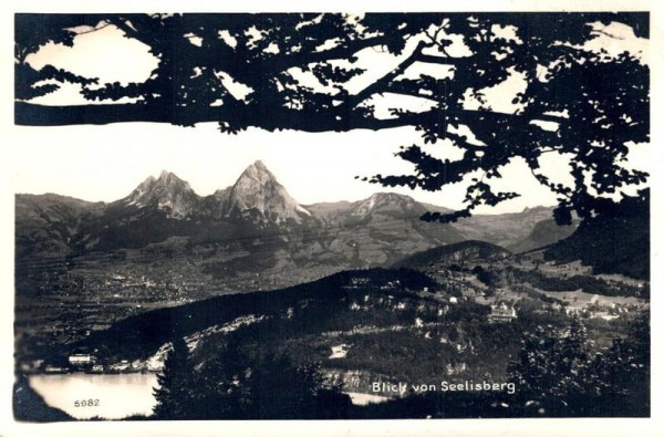 Blick vom Seelisberg Vorderseite