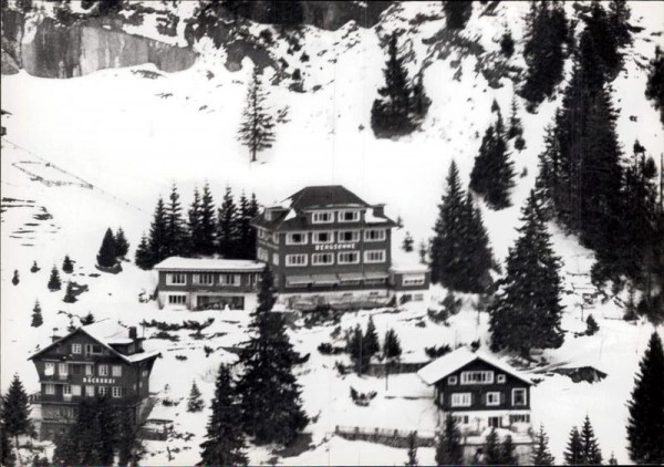 Rigi-Kaltbad, Hotel Bergsonne, Flugaufnahme Vorderseite