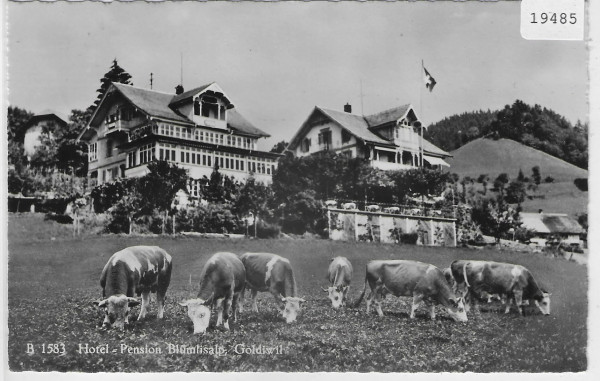 Hotel-Pension Blümlisalp - Goldiwil - Kühe vaches cows