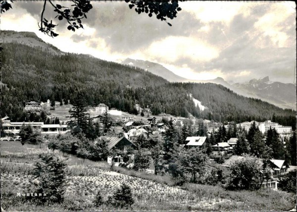 Montana Vorderseite