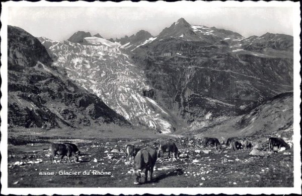 Glacier du Rhone Vorderseite