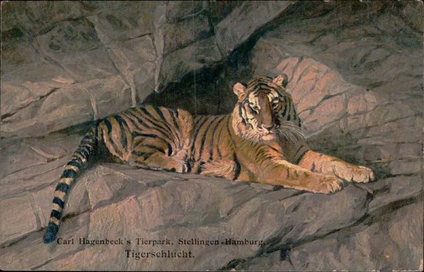 Tigerschlucht, Carl Hagenbeck's Tierpark, Stellingen Hamburg Vorderseite