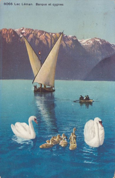 Lac Leman, Barque et cygnes