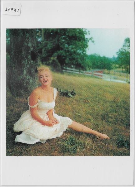 Marilyn Monroe auf der Wiese - Photo: Sam Shaw 1958