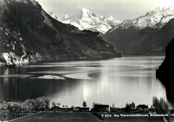 Vierwaldstättersee mit Bristenstock Vorderseite