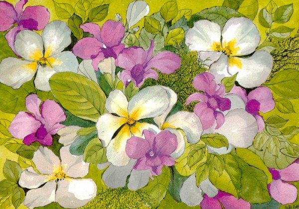 Bunte Blüten Vorderseite