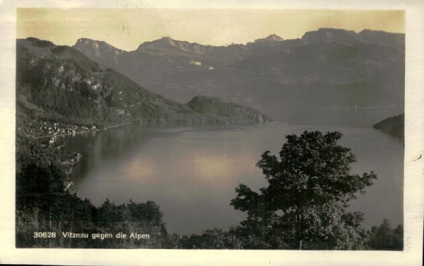 Vitznau gegen die Alpen Vorderseite