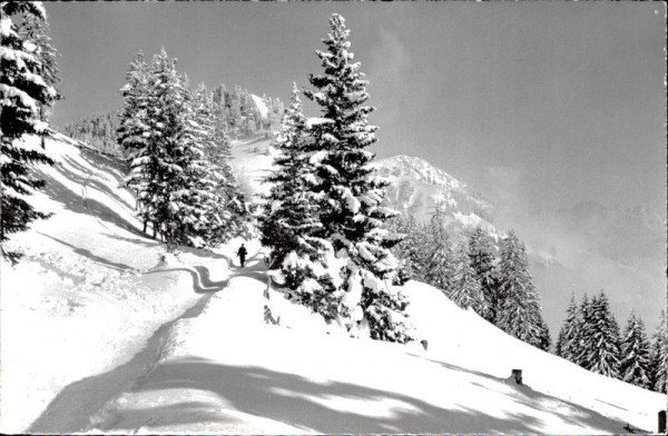 Rigi First Vorderseite