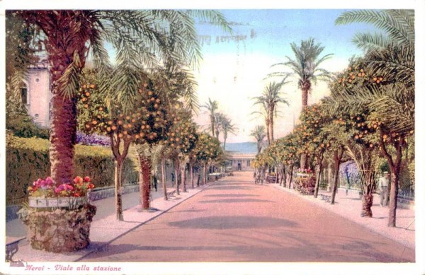 Nervi Vorderseite