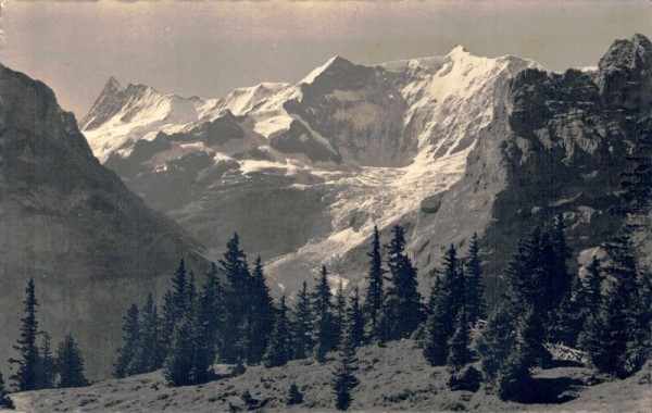 Grindelwald. Am Weg n. Blümlisalp, Finsteraahorn u. Fiescherhörner  Vorderseite