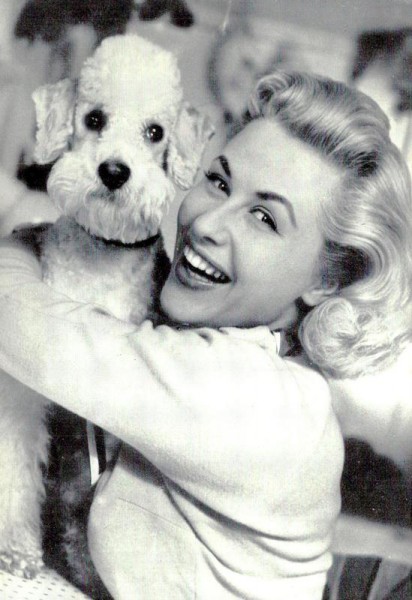 Bibi Johns Vorderseite
