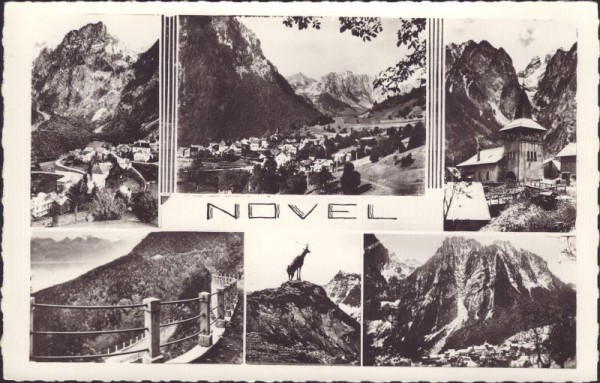 Novel