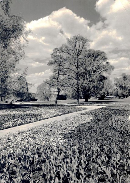 Zürich, Gartenbau-Ausstellung 1959 Vorderseite