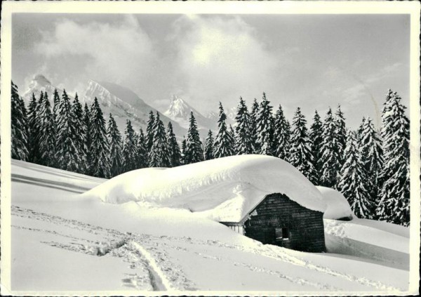 Skigebiet Obertoggenburg Vorderseite