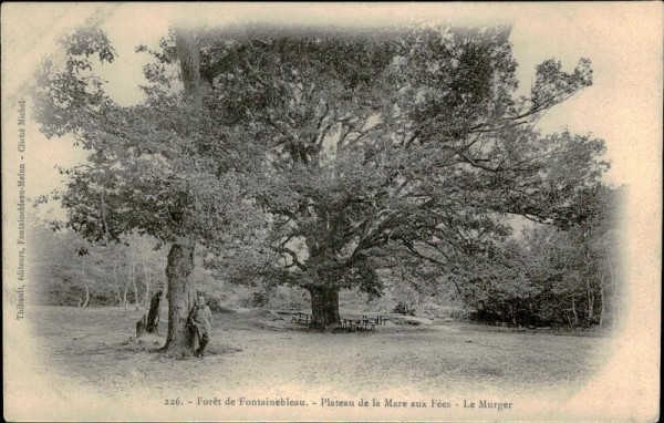 Forêt de Fontainebleau. Vorderseite