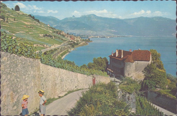 Le Lavaux (lac Léman)