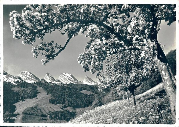 Unterwasser, Hotel Sternen, Bergrestaurant Jltios Vorderseite