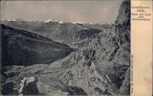 Gemmipass Vorderseite