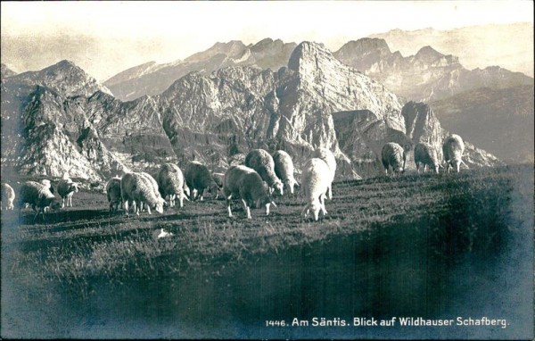 Am Säntis, Blick auf Wildhauser Schafberg Vorderseite