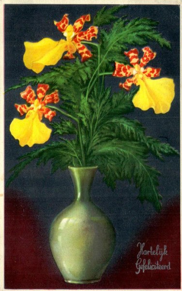 Hartelyk Gefeliciteerd Vorderseite