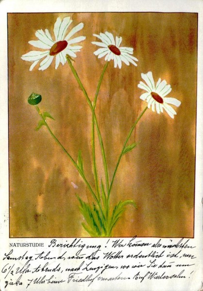 Schülerzeichnungen Knabenklasse 2 AB,Naturstudie Vorderseite