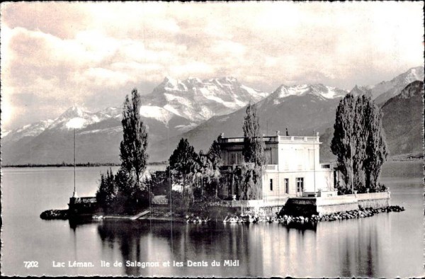 Lac Léman - Ile de Salagnon et les Dents du Midi Vorderseite