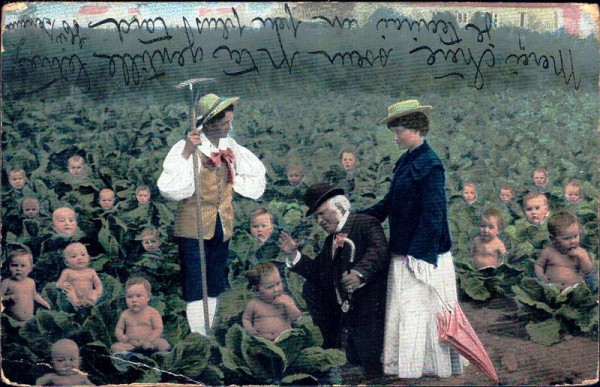 der spezielle Garten Vorderseite