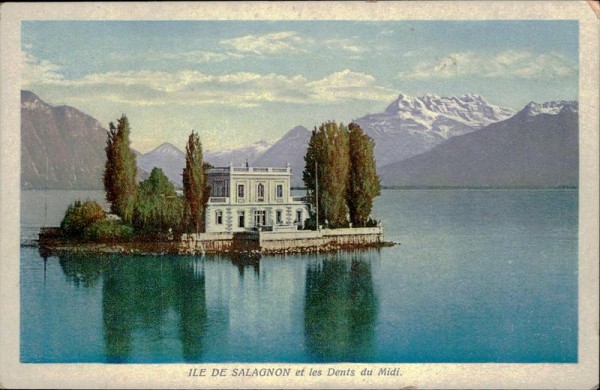 Ile de Salagnon et les Dents du Midi. Vorderseite