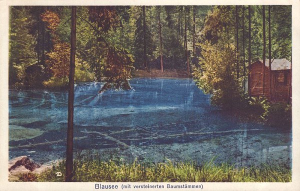 Blausee (mit versteinerten Baumstämmen)