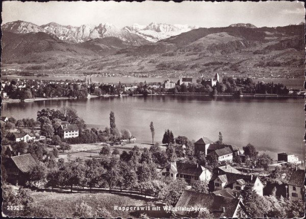 Rapperswil mit Wäggitalerberge