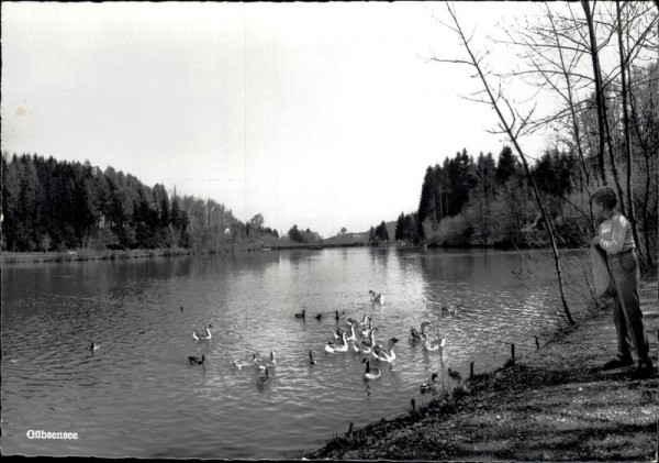 Gübsensee Vorderseite