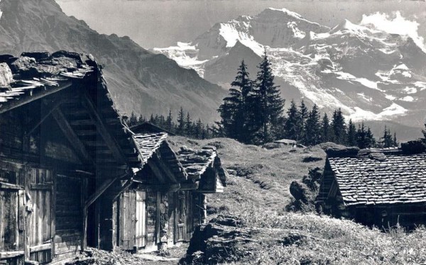 Bei Wengen. Jungfrau Vorderseite