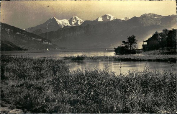 Thunersee Vorderseite