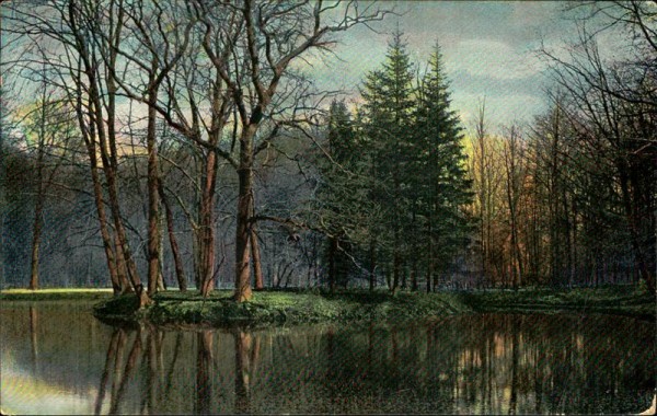Wald Vorderseite