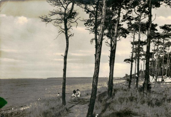 Pepelow Vorderseite
