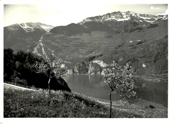 Bei Obstalden mit Walensee und Mattstock Vorderseite