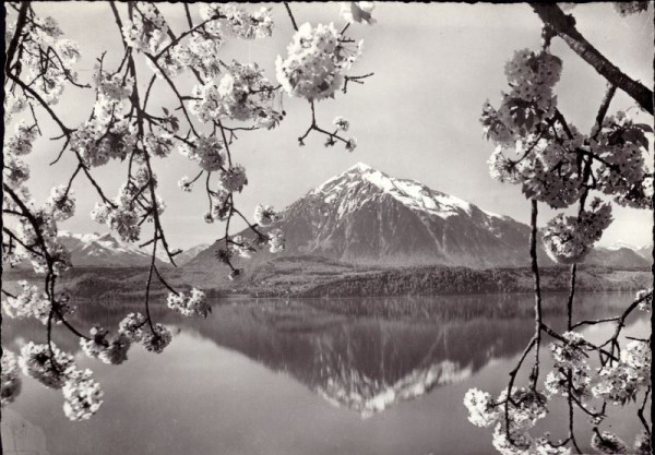 Frühling am Thunersee, Niesen