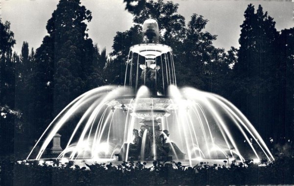 Genève. La Fontaine du Jardin, anglais illuminée Vorderseite