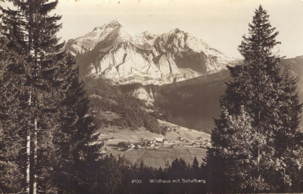 Wildhaus mit Schafberg
