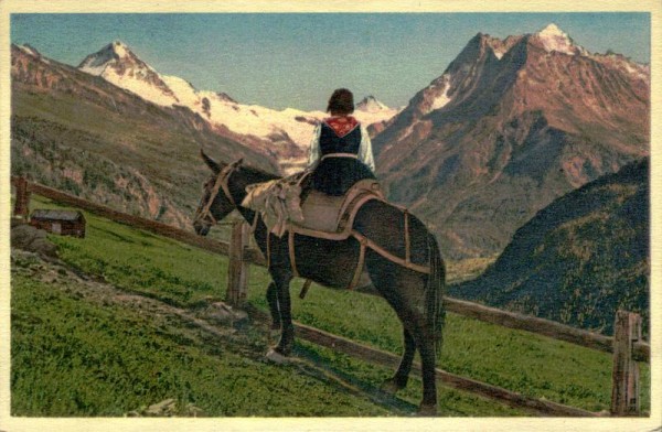 Val d'Hérens:l'Evolénarde Vorderseite