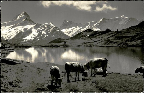 Grindelwald,Bachsee am Faulhorn Vorderseite