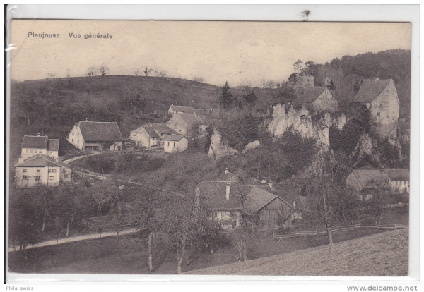Pleujouse - Vue generale