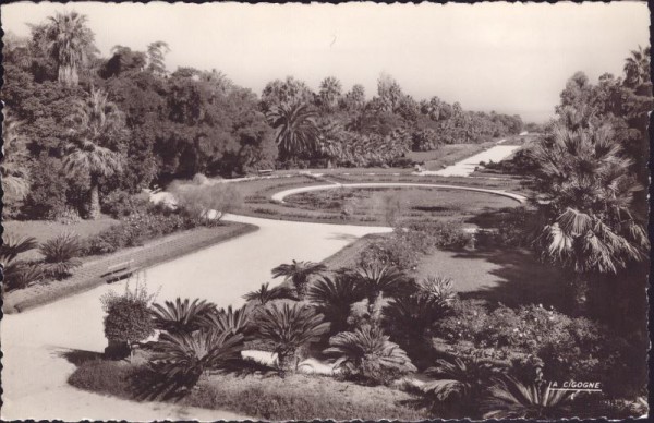 Alger - Jardin d'Essai - Pièce d'eau