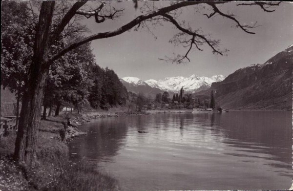 Am Brienzersee bei Brienz Vorderseite