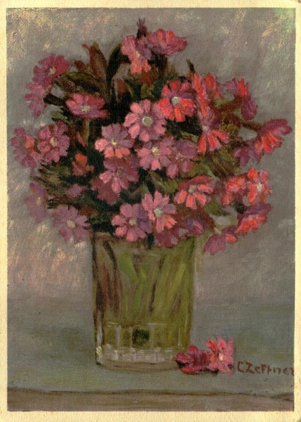 Rote Lichtnelke Vorderseite