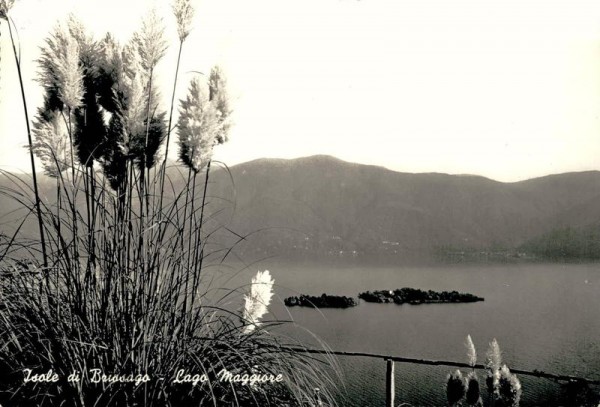 Isola di Brissago. Lago Maggiore Vorderseite